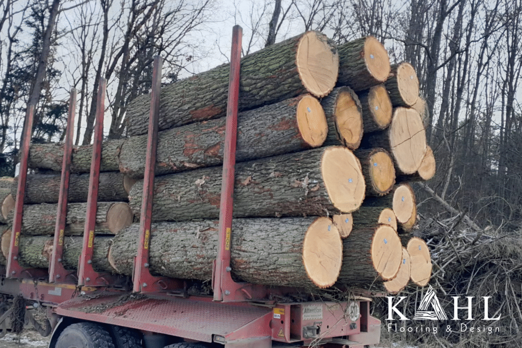 Nguồn gốc sàn gỗ kỹ thuật KAHL